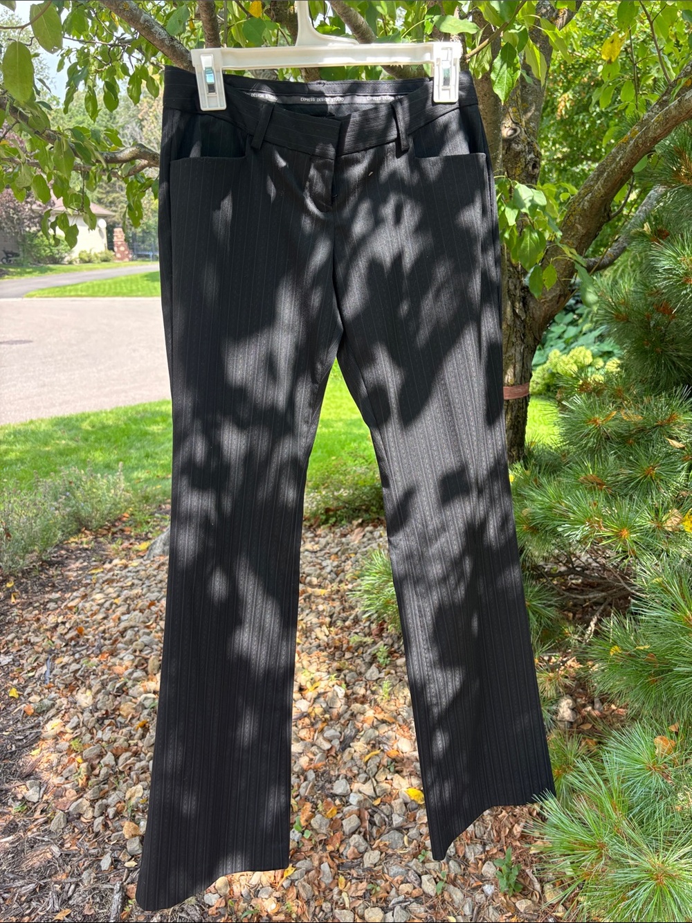 Express Black Stylist Dress Pants - Women